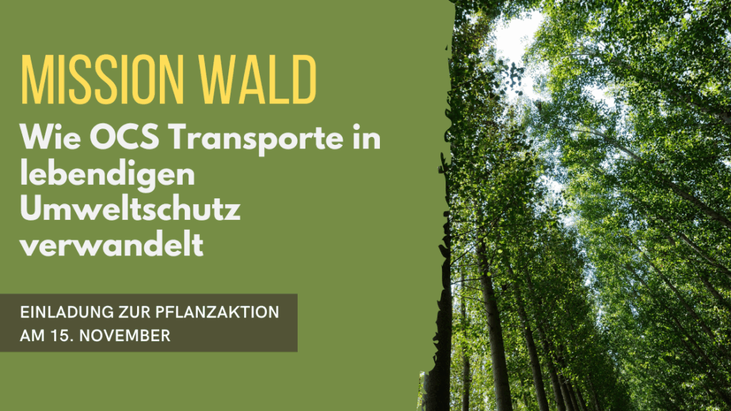 Ein Wald, Symbol für den CO₂-Ausgleich beim Transport und die vielfältigen positiven Effekte von Wäldern auf Klima, Natur und Menschen.