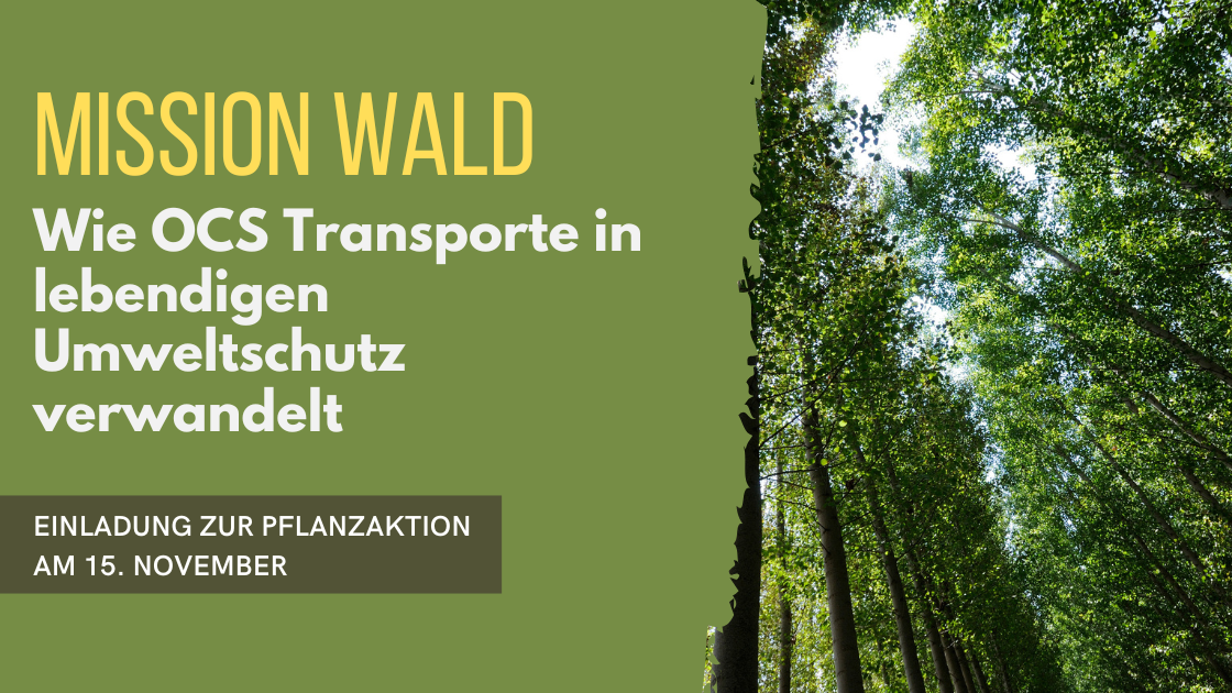 Ein Wald, Symbol für den CO₂-Ausgleich beim Transport und die vielfältigen positiven Effekte von Wäldern auf Klima, Natur und Menschen.